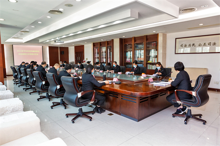 区法院召开专题分析会_副本.jpg