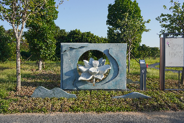 3.明镜清莲莲花雕塑_副本.jpg