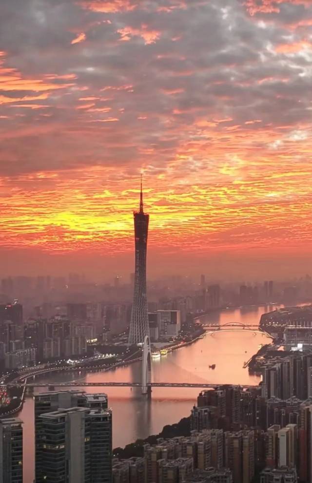 流氓兔视觉/图