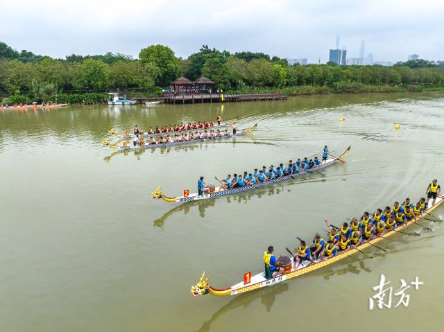广州龙舟第一弹！海珠湿地千人竞渡