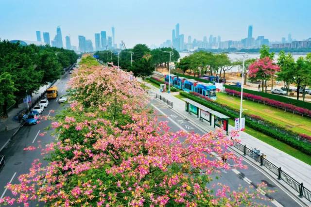 △阅江路碧道，图/GZphotos