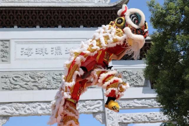 来看雄狮与少年，赏月色真美！海珠湿地承包你的假期活动