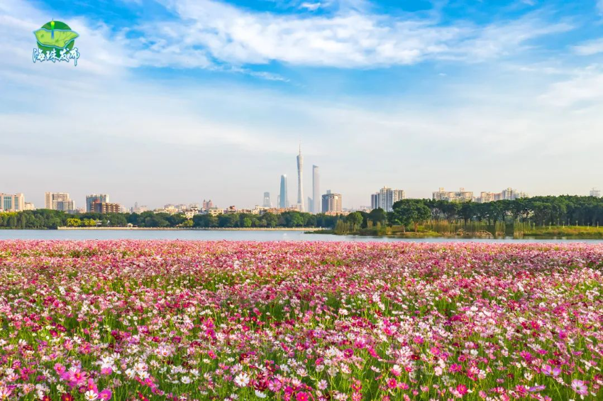 海珠湿地推文4.jpg