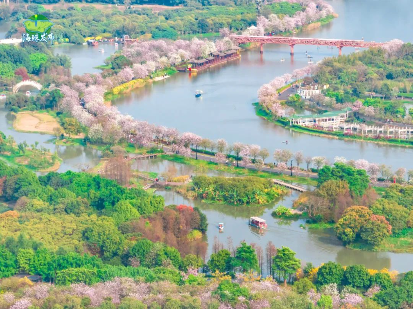 海珠湿地推文5.jpg